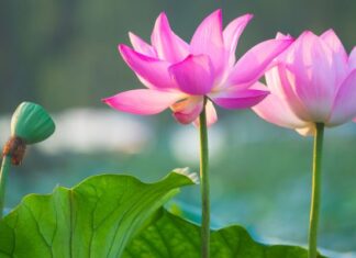 Tài liệu không có tiêu đề